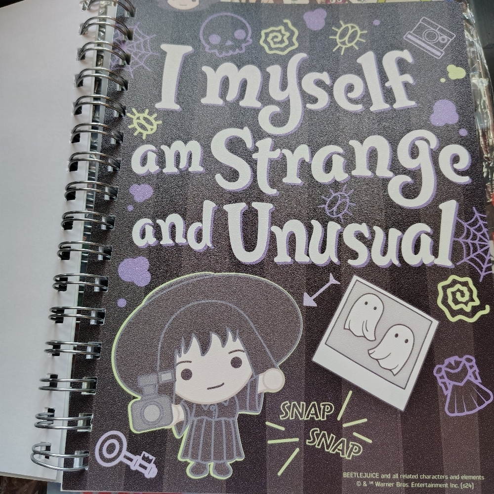 🪲NWT Beetlejuice Vinyl Covered Spiral Journal w/ Vinyl Separators - Picture 12 of 16
